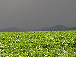 Contrastes da natureza: Sol, chuva, serra e plancie. Nova Xavantina - MT