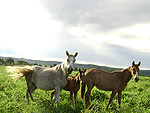 Nova Xavantina - MT. Famlia: at na natureza  a coisa mais importante. Foto enviada por Jose Almiri Mller