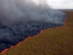 O fogo consome uma rea de banhado superior a quatro mil hectares desde o final da tarde de segunda-feira (28)