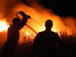 Na noite desta quarta-feira (30), voluntrios, brigadistas de incndio e funcionrios do IBAMA combateram o fogo em uma regio da estao que se aproximava de uma propriedade rural