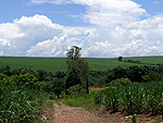 Piracicaba (SP). Uma tempestade em formao: nuvens cmulo-nimbu, com o clssico topo