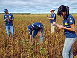 Nos cinco dias de Rally as trs equipes do grupo dois j percorreram 13 cidades de Mato Grosso