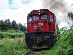 Trem passa pela regio de Apucarana, norte do Estado