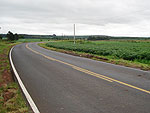 Estrada deserta na regio de Ponta Grossa