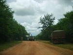 No caminho de Santo Antnio do Rio Verde, uma cena nada normal: colheita de laranjas