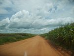 A equipe percorreu mais de 100 km de estrada de terra