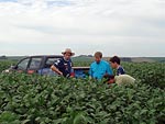 Equipe visita a plantao de soja de Henricus Aernoudts