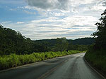 Uma paisagem tpica dos chapades do sul de Minas Gerais