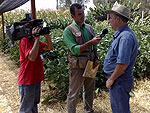 Reprter Thiago Ribeiro entrevista engenheiro da Emater/RS