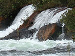 No balano final, feito pelos tcnicos nas lavouras visitadas de Mato Grosso, foram encontradas doenas como nematides, ferrugem asitica, mancha alva, pragas e, em algumas regies, muitas ervas daninhas