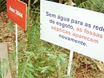 De volta a problemas considerados primitivos