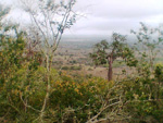 A natureza ainda preservada, dando um lindo visual para a nossa cidade. Morro da Aurora, Ichu (BA)