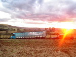 O engenheiro agrnomo de Marilndia do Sul (SP) fotografou o plantio da safra de inverno 2008