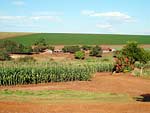 Foto tirada na fazenda Santo Antnio, em Sao Pedro do Iva, PR, em uma lavoura de feijo 