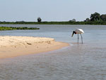 Adelor Berndt escuta a Rdio Gacha em Cceres, Mato Grosso. Essa imagem foi captada por ele no rio Paraguai, no Pantanal Norte, no municpio onde reside, um lugar lindo