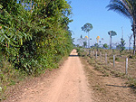 Estrada separa rea de Preservao Ambiental e fazendas 