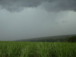 Frente fria avanando sobre os canaviais da Fazenda Recanto em Piracicaba (SP)