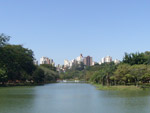 O internauta Rodival Spitzer envia foto da vista do Parque da Rua do Porto, sob um &quot;cu de brigadeiro&quot;, em Piracicaba (SP). Quando chegar a prxima frente fria, dever virar &quot;cu de tenente&quot;, mas agora, tempo ruim s em Pequim