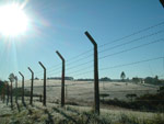 Internauta registrou os primeiros raios de sol de uma fria manh com geada, s margens da BR-282, no deslocamento de Lages (SC) a Otaclio Costa (SC). A temperatura era de -2 graus