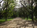 Imagem do Parque Marinha do Brasil, em Porto Alegre (RS), enviado por Roger Bruck