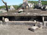 Leitora de AN manda fotos para mostrar o estado do cemitrio municipal de Joinville