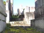 Leitora de AN manda fotos para mostrar o estado do cemitrio municipal de Joinville