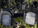 Cemitrio Evanglico. Nele, esto enterrado Fritz Mller, esposa e familiares. Rua Amazonas, 119, Bairro Ribeiro Fresco. Telefone: 3322-0587