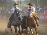 O Freio de Ouro Jos Fonseca Macedo com o cavalo  Matreiro do Itaporor na prova de paleteada
