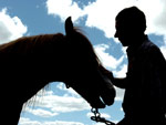 Valdir Pinto Machado, morador do Bairro Chapu do Sol, cria cavalos. H pouco mais de um ano ele adotou o cavalo crioulo Macanudo, abandonado pelo antigo dono por ser muito rebelde. Hoje, tranquilo domado com carinho, o animal  o melhor amigo de Valdir.