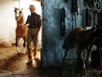 Valdir Pinto Machado, morador do Bairro Chapu do Sol, cria cavalos. H pouco mais de um ano ele adotou o cavalo crioulo Macanudo, abandonado pelo antigo dono por ser muito rebelde. Hoje, tranquilo domado com carinho, o animal  o melhor amigo de Valdir.