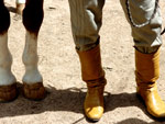 Valdir Pinto Machado, morador do Bairro Chapu do Sol, cria cavalos. H pouco mais de um ano ele adotou o cavalo crioulo Macanudo, abandonado pelo antigo dono por ser muito rebelde. Hoje, tranquilo domado com carinho, o animal  o melhor amigo de Valdir.