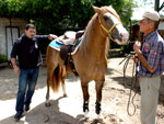 Valdir Pinto Machado, morador do Bairro Chapu do Sol, cria cavalos. H pouco mais de um ano ele adotou o cavalo crioulo Macanudo, abandonado pelo antigo dono por ser muito rebelde. Hoje, tranquilo domado com carinho, o animal  o melhor amigo de Valdir.    O treinador Nelson Woody ajudou Valdir a domar e treinar o cavalo, que hoje at participa de competies.