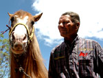 Valdir Pinto Machado, morador do Bairro Chapu do Sol, cria cavalos. H pouco mais de um ano ele adotou o cavalo crioulo Macanudo, abandonado pelo antigo dono por ser muito rebelde. Hoje, tranquilo domado com carinho, o animal  o melhor amigo de Valdir.