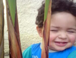 Esse  o Thiago, o gatinho da dinda Vanessa Lopes.