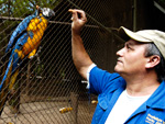 Na rea das araras, apenas os dois cuidadores conseguem entrar sem espantar as aves.