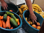 Antnio e o colega Anlio de Deus Cana, 64 anos, cortam quilos de frutas e verduras que mais tarde sero distribudos nos recintos, onde ficam os animais.