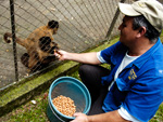 O cuidador sai do srio quando visitantes tentam irritar os animais.