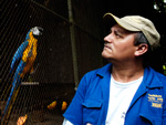 Todos os dias, s 8h15min, Antnio Gonalves da Silva, 49 anos, tem um encontro marcado com mais de cem animais de 20 espcies.