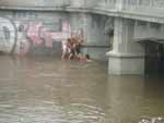 A forte chuva que atingiu Porto Alegre na sexta-feira elevou o nvel do Arroio Dilvio e isolou uma jovem embaixo da ponte