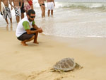 Tartaruga da espcie verde ficou um ano em recuperao na sede do Projeto Tamar, na Barra da Lagoa