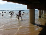 Um dos pontos tursticos mais visitados de Penha  o Trapiche da praia de Armao do Itapocori
