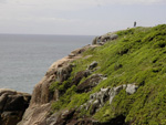 Trilha da Ilha do Campeche tambm conta com trecho panormico