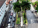 Rua das Palmeiras