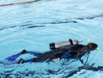 Ju colocou toda a vestimenta para mergulhar na piscina 