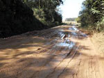 Rua Nazrio, em Cachoeirinha, liga Canoas a RS118, no  toda asfaltada, est sendo tomada pela vegetao e  pouco iluminada