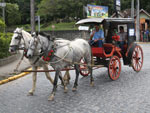 Passeio de charrete revive a poca dos antepassados.