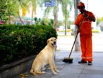 Quem sabe um dia o gari, que teve queimada sua &quot;casa&quot; - um carrinho de madeira - consiga um teto para dividir com o novo amigo