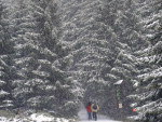 Pessoas aproveitaram a neve para caminhar em Oberhof, Alemanha