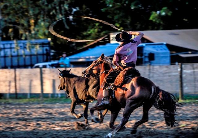 Caxias sedia 10ª Festa do Cavalo Crioulo a partir desta quinta-feira -  Prefeitura de Caxias do Sul