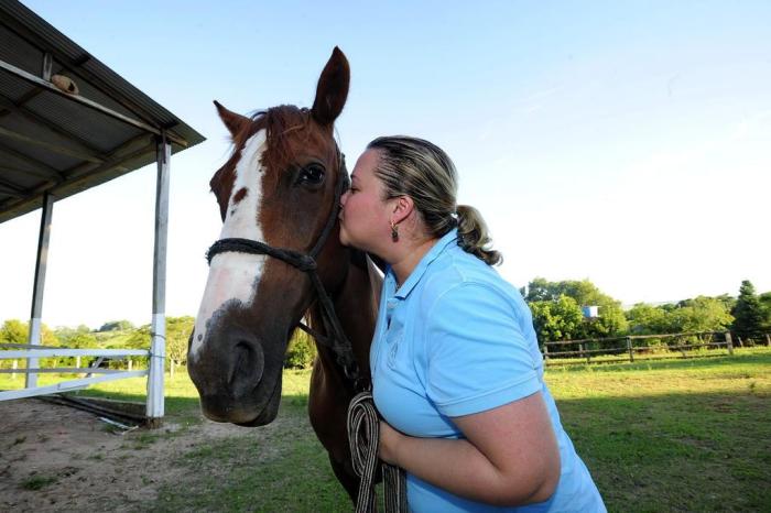 Cavalos entendem emoções humanas – e lembram-se de humanos mal